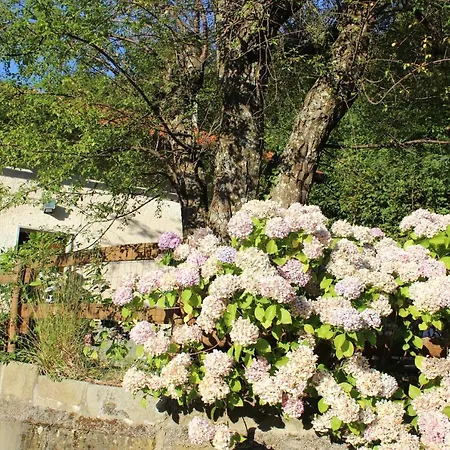 Casa Sambu Διαμέρισμα